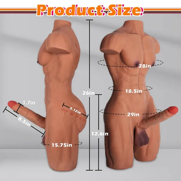 Realistic male torso sex doll